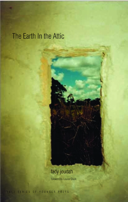 Earth in the Attic 0300134312 Book Cover