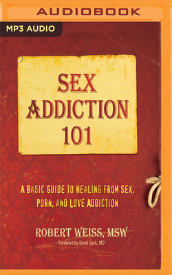 Sex Addiction 101: A Basic Guide to Healing fro... 1978651341 Book Cover