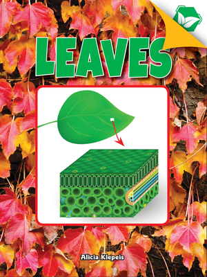 Leaves 1683423860 Book Cover