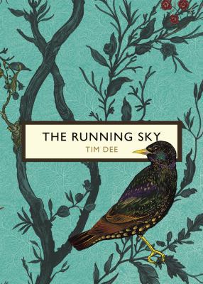 RUNNING SKY (THE BIRDS AND BEES) 1784871141 Book Cover