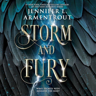Storm and Fury 1982646403 Book Cover