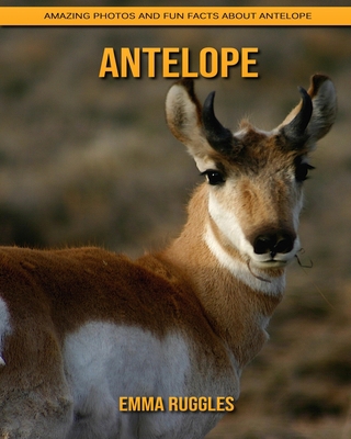 Paperback Antelope: Amazing Photos and Fun Facts about Antelope [Large Print] Book
