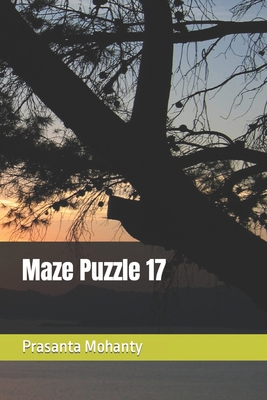 Maze Puzzle 17 B0BMTHBY15 Book Cover