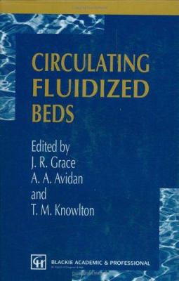 Circulating Fluidized Beds 0751402710 Book Cover
