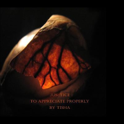 Jus-tice To Appreciate Properly 0615991998 Book Cover