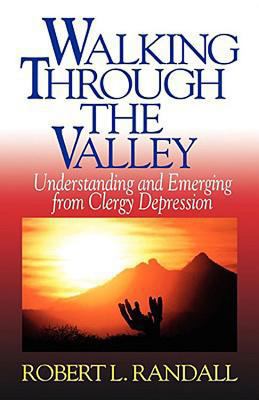 Walking Through the Valley: Understanding and E... 0687014638 Book Cover