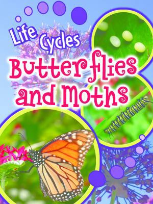 Butterflies and Moths 1615903089 Book Cover