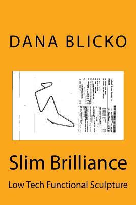 Slim Brilliance: Low Tech Functional Sculpture 1983900036 Book Cover