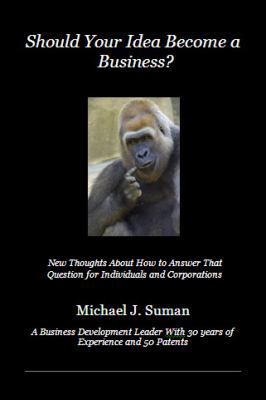 Should Your Idea Become a Business? 0615488285 Book Cover