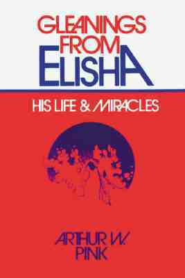 Gleanings from Elisha: 0802430007 Book Cover