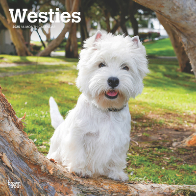 West Highland White Terriers 2025 12 X 24 Inch ... 1975477979 Book Cover