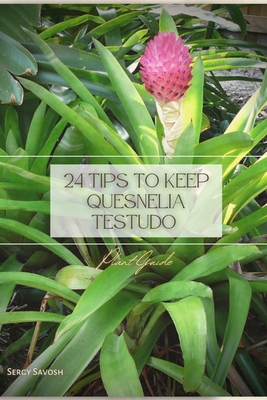 24 Tips to Keep Quesnelia Testudo: Plant Guide B0C1JCNR5S Book Cover