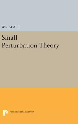Small Perturbation Theory 069165235X Book Cover