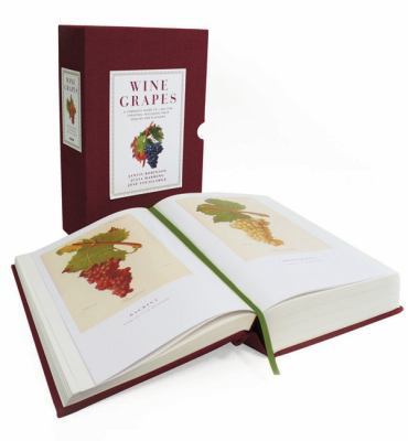 Wine Grapes: A Complete Guide to 1,368 Vine Var... 0062206362 Book Cover