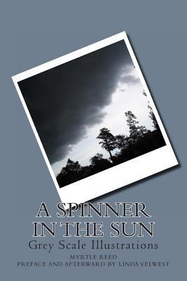 A Spinner in the Sun: Grey Scale Illustrations 149598981X Book Cover