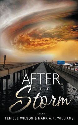 After the Storm 1449038743 Book Cover