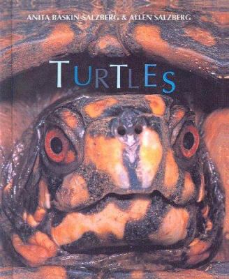 Turtles 0613143795 Book Cover