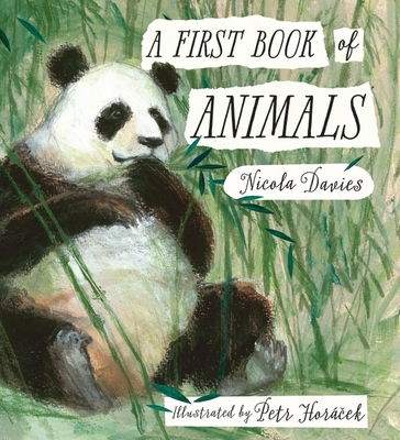 A First Book of Animals 1406359637 Book Cover
