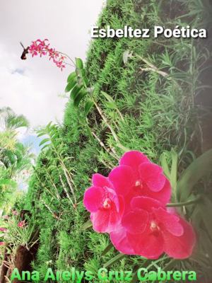 Esbeltez Po?tica : Durante la Pandemia Del 2019