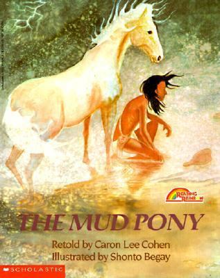 The Mud Pony 0833539620 Book Cover