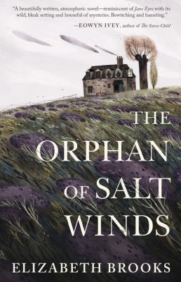 The Orphan of Salt Winds [Large Print] 1432862855 Book Cover