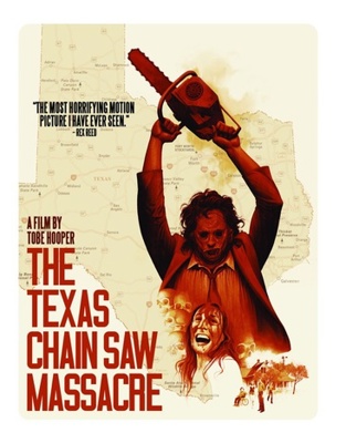 The Texas Chainsaw Massacre            Book Cover