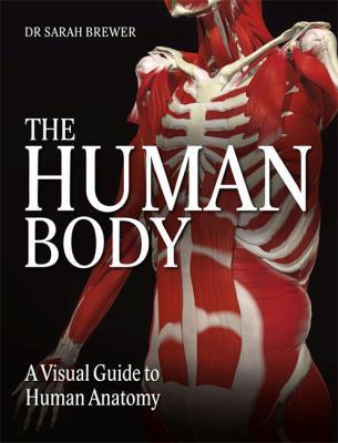 The Human Body 0857388479 Book Cover
