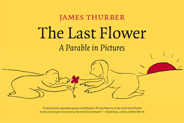 The Last Flower: A Parable in Pictures 1587296209 Book Cover