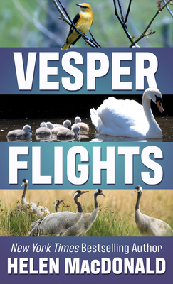 Vesper Flights [Large Print] 1432884867 Book Cover