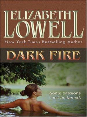 Dark Fire [Large Print] 0786289821 Book Cover