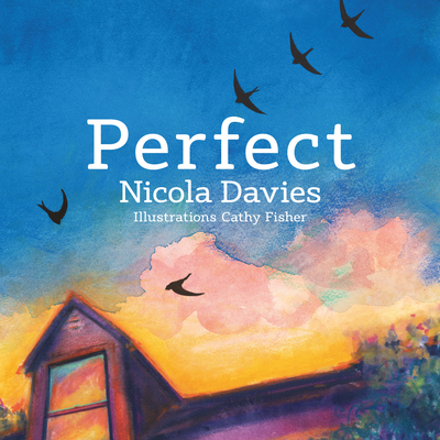 Perfect: Volume 1 1912213494 Book Cover