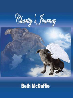 Charity's Journey 1496920864 Book Cover