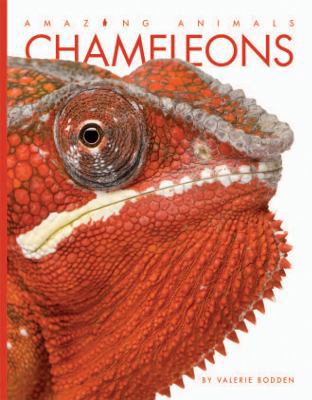 Chameleons 1628322152 Book Cover