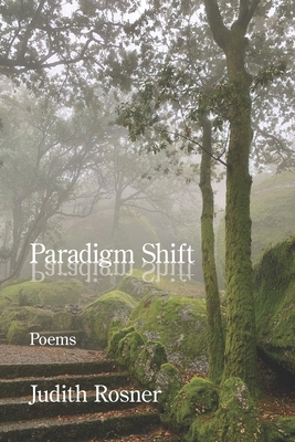 Paradigm Shift B0GVYTHXGF Book Cover