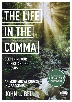 Life in the Comma: Deepening Our Understanding ... 1915843413 Book Cover