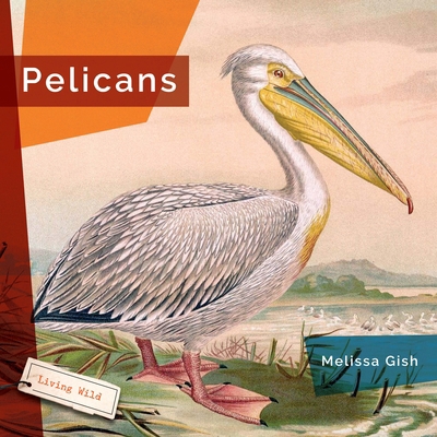 Pelicans 1640267972 Book Cover