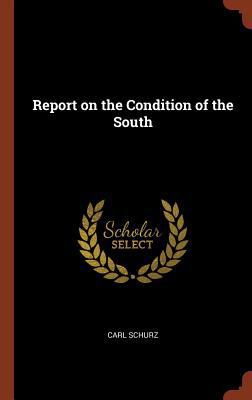 Report on the Condition of the South 1374883522 Book Cover