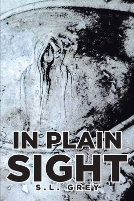 In Plain Sight 1646282280 Book Cover
