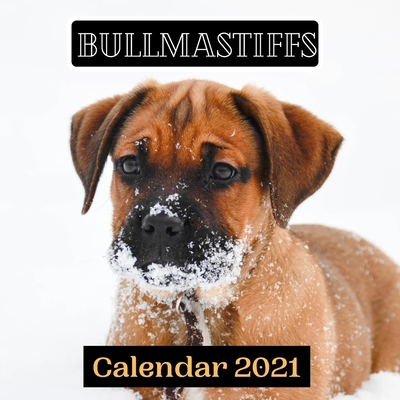 Bullmastiffs Calendar 2021 null Book Cover