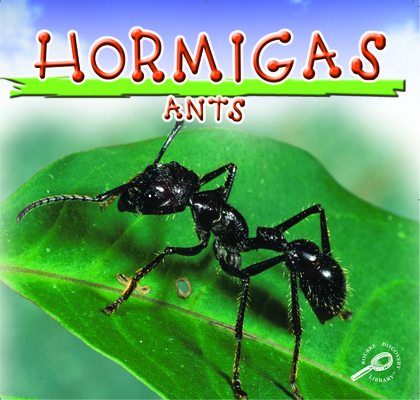 Hormigas: Ants [Spanish] 1595156941 Book Cover