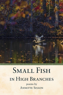 Small Fish in High Branches 1941783805 Book Cover