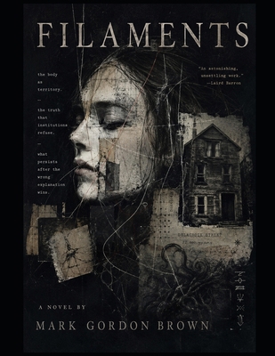 Filaments B0H4GPRYYV Book Cover