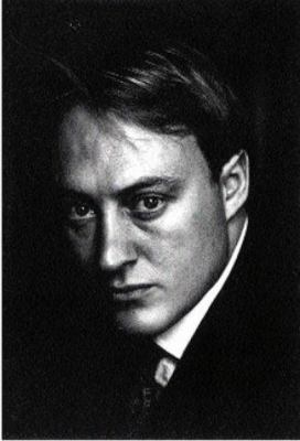 Napoleon and Wellington 0297646079 Book Cover