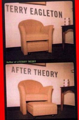 After Theory 0465017738 Book Cover