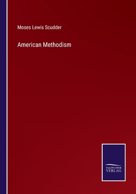 American Methodism 3752530308 Book Cover