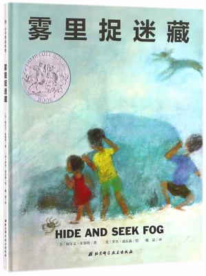 Hide and Seek Fog (Chinese Edition) [Chinese] 7530493442 Book Cover