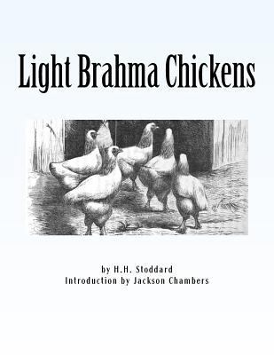 Light Brahma Chickens: Chicken Breeds Book 25 1533388318 Book Cover