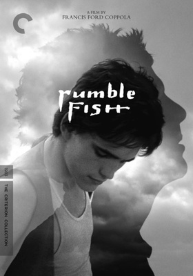 Rumble Fish            Book Cover