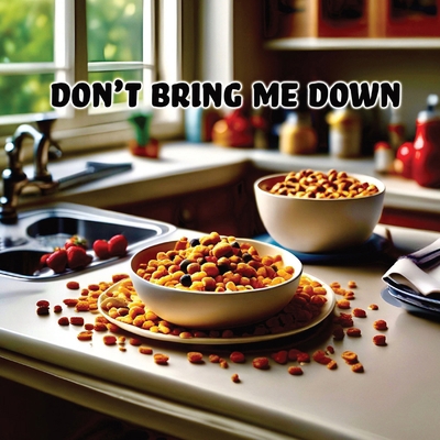 Don't Bring Me Down B0D8CZ1P48 Book Cover