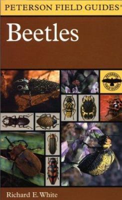 A Field Guide to the Beetles: Of North America 0395910897 Book Cover